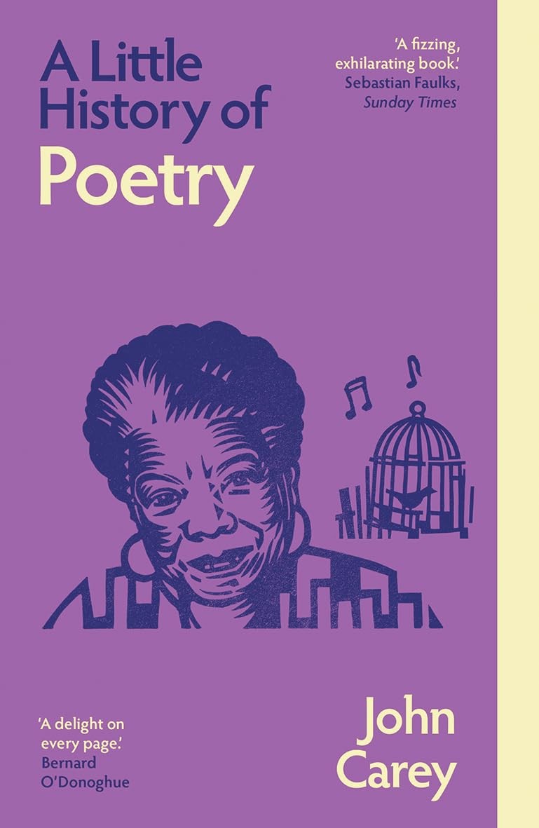 A Little History of Poetry (Little Histories) - John Carey - PAPERBACK - NEW