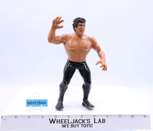 Ricky The Dragon Steamboat 1986 WWF LJN Titan Spor...
