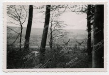 Foto Westwall Panzersperren spanische Reiter Grenze Frankreich border WH (A233)