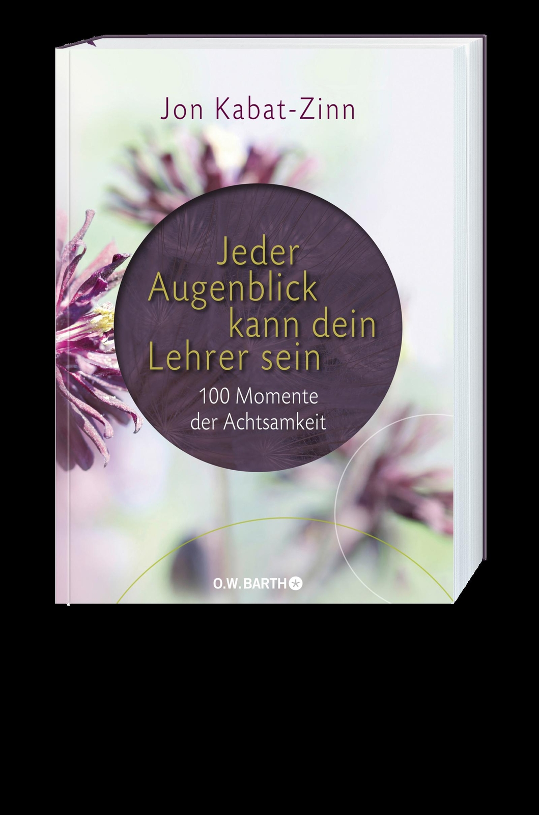 Thumbnail - Jeder Augenblick Kann Dein Lehrer Sein, Jon Kabat-zinn