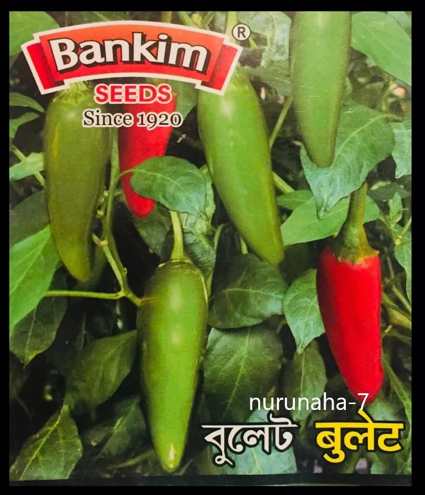Chilli bullet cam sales