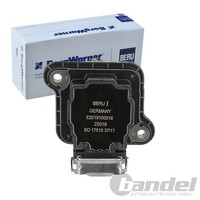 Borgwarner (Beru) ZÜNdspule ZÜNdmodul Passend FüR Audi A3 A4 A6 A8 Allroad Tt