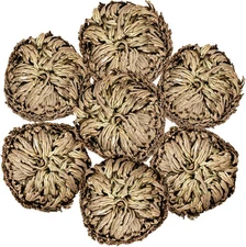 7 Pack Rose of Jericho Dried Plants - Rosa de Jerico Original, Brown 