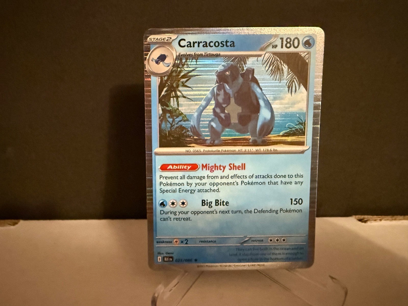 2025 Pokemon TCG Carracosta 023 S&V Black Bolt Holo Rare Card NM+