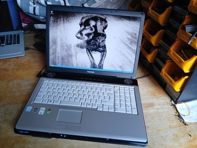 Hochwertiger 17'' Breitbild Toshiba Windows XP Laptop -- 500GB HD + 2GB RAM (T2)