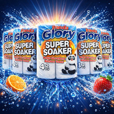 24 Kitchen Roll Towel 2 Ply Per Roll Panda Glory Super Soaker Mega | Bulk Buy