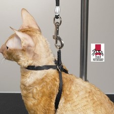 PET CAT SMALL DOG Grooming Table Arm Bath Bathing Adjustable HARNESS Restraint