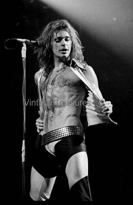 David Lee Roth On Stage Van Halen Photo Print Poster In Concert