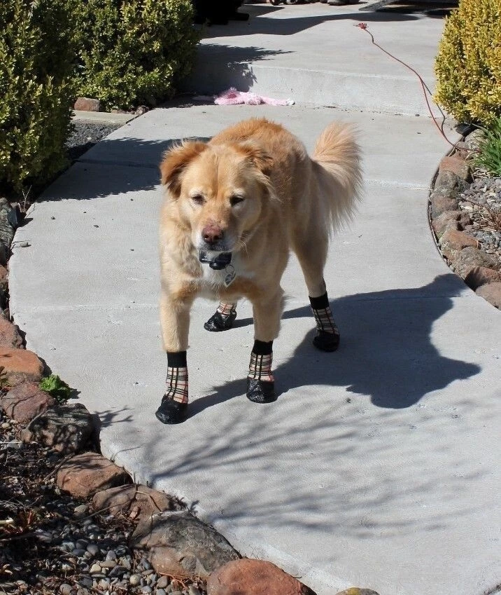 USA SELLER Pet WaterProof Rain Shoes Boots Socks Non-slip Rubber SMALL & BIG Dog - Image 4 of 4