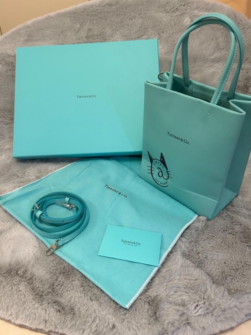 【230枚まとめ買い可】Tiffany & Co. ショップバッグ 中 折曲発送 TIFFANY & Co Mini 2WAY Shopping Bag Tote Bag Shoulder Bag Curfskin