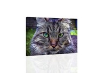 Cat - CANVAS OR PRINT WALL ART