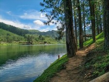 Digital Image Picture Photo Wallpaper Background Desktop