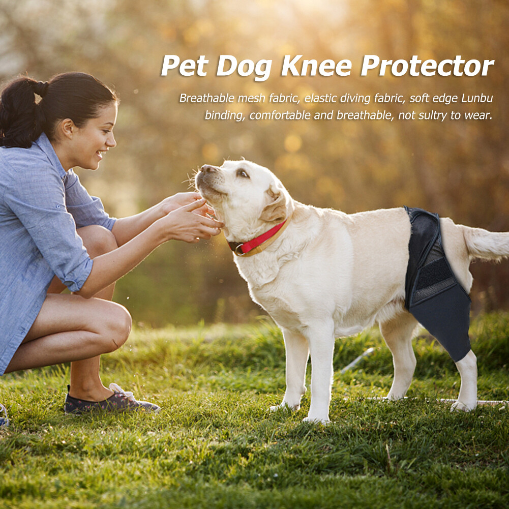 Canine Knee Support for Joint Pain Relief Dog Knee Wrap Postoperative