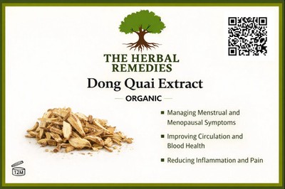 Dong Quai Extrakt (Angelica sinensis) traditionelle botanische Unterstützung für