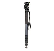 ProMaster Professional MPH528 Monopod with Head N 
