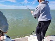 GR2A Double Motor Boat Lift Remote w/ Auto-Stop System