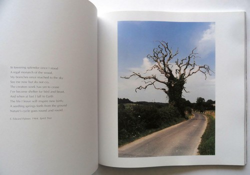 The Whisper of a Million Leaves - Beatrice Haverich Nature Photography PB 2004 - Picture 9 of 9