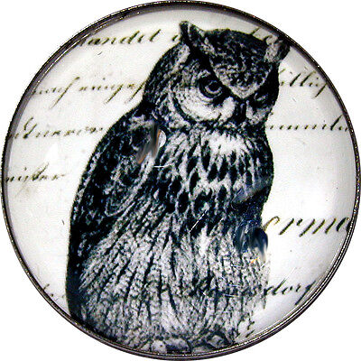 Crystal Dome Button Full Body Owl  1 inch   BD 05 FREE US SHIPPING 