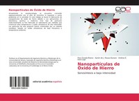 NanopartíCulas De ÓXido De Hierro SonosíNtesis A Baja Intensidad Taschenbuch