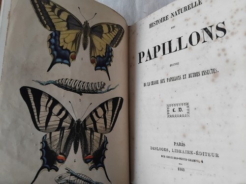 CONSTANT 1860 HISTOIRE NATURELLE DES PAPILLONS GRAVURES COULEURS RELIURE - Picture 8 of 9