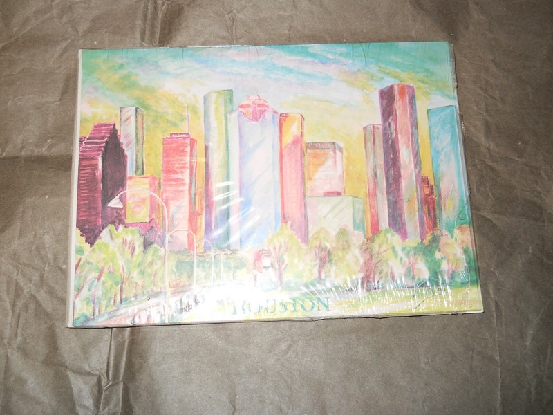NEW pack of 5 cards @ envelopes ~ HOUSTON