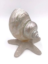 Conchiglia In Madreperla su Stella