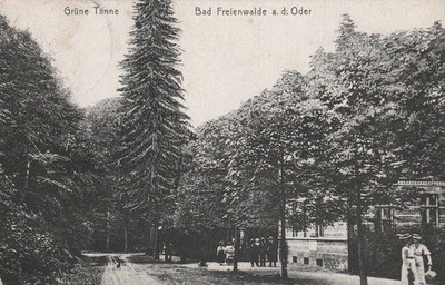 AK Bad Freienwalde a.d. Oder Grüne Tanne von 1922 (A4782)