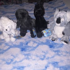 Webkinz Lot Black White Poodles Stallion Koala Sealed Code READ DESCRIPTION
