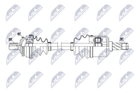 NTY NPW-VV-153