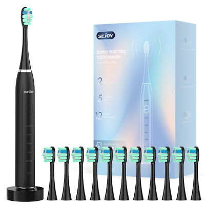 Sonic Electric Toothbrush USB Rechargeable Power Toothbrush with 12 Brush Heads