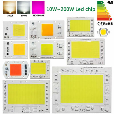 LED 220V 110V Chip COB 10W 20W 30W 50W 100W 150W 200W white warm grow light bulb