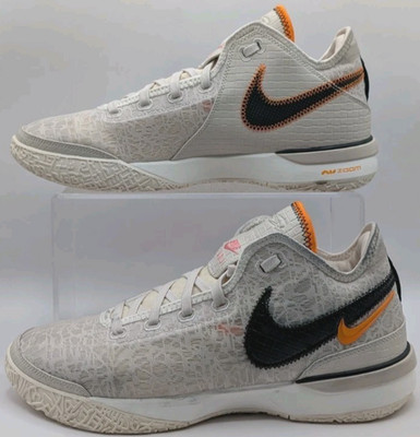 Nike Zoom LeBron NXXT Gen Da Vinci Men's Basketball shoes size 10.5