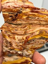 Gary Green Caldera Freedom Jasper Rough Slab Cabbing Lapidary Reiki Chakra
