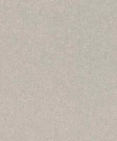 Tapete Vlies Rasch Einfarbig Struktur Silber-Grau Composition 554489 (4,10€/1Qm)