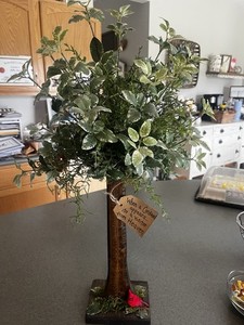 Cardinal Tree