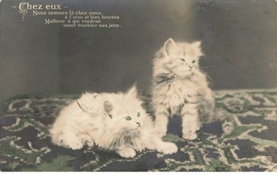 CATS #MK41501 AT HOME TWO GREEN-EYED KITTENS
