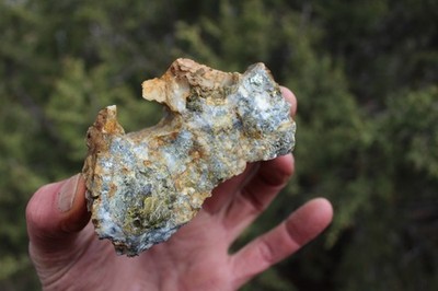 MINERAL GOLD ORE From Historic & Rare Site   -  PACIFIC MINE - W.R. Hearst  #16