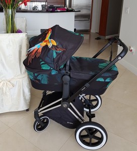 bird of paradise cybex