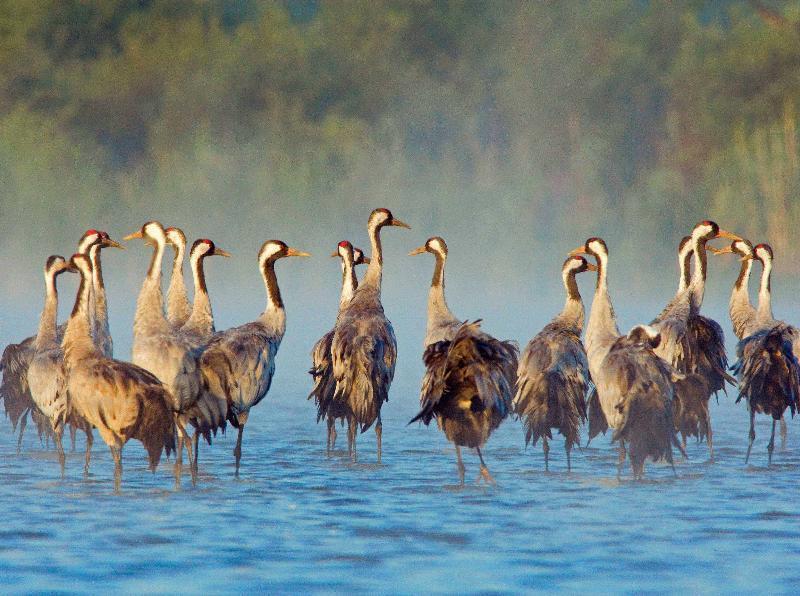 Thumbnail - Müritz-nationalpark Sandra Bartocha 9783941803015
