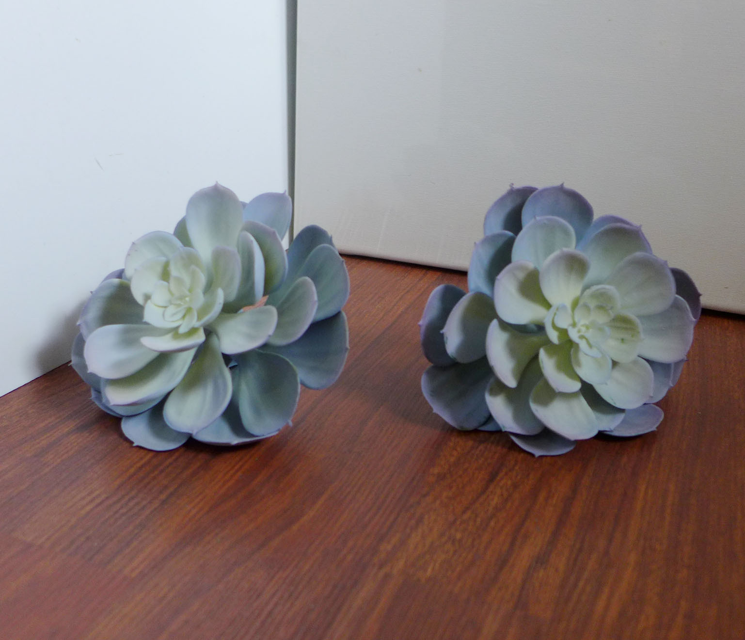 Succulant Plants for sale Only 3 left at 75