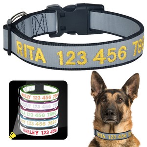 baylor dog collar