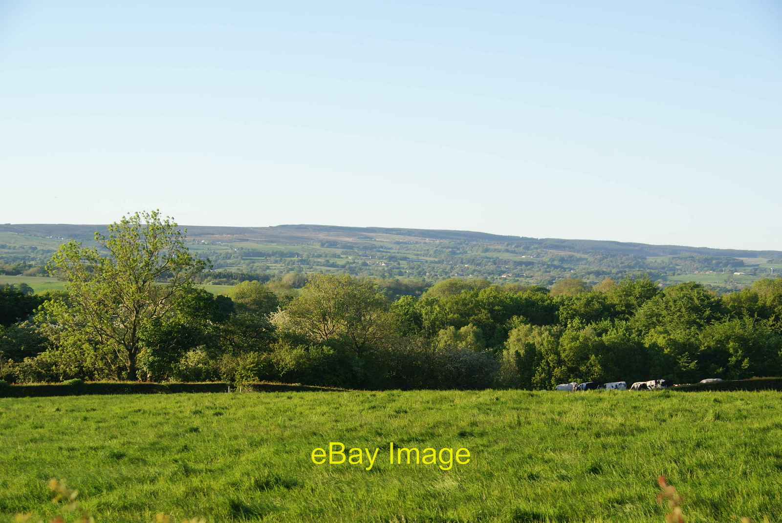 Photo 6x4 Field above Sunderland Hall Farm Before you drop down to the