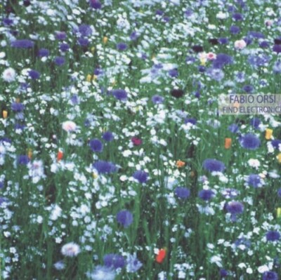 FABIO ORSI = Find Electronica = CD = ABSTRACT AVANTGARDE FIELD ACOUSTIC