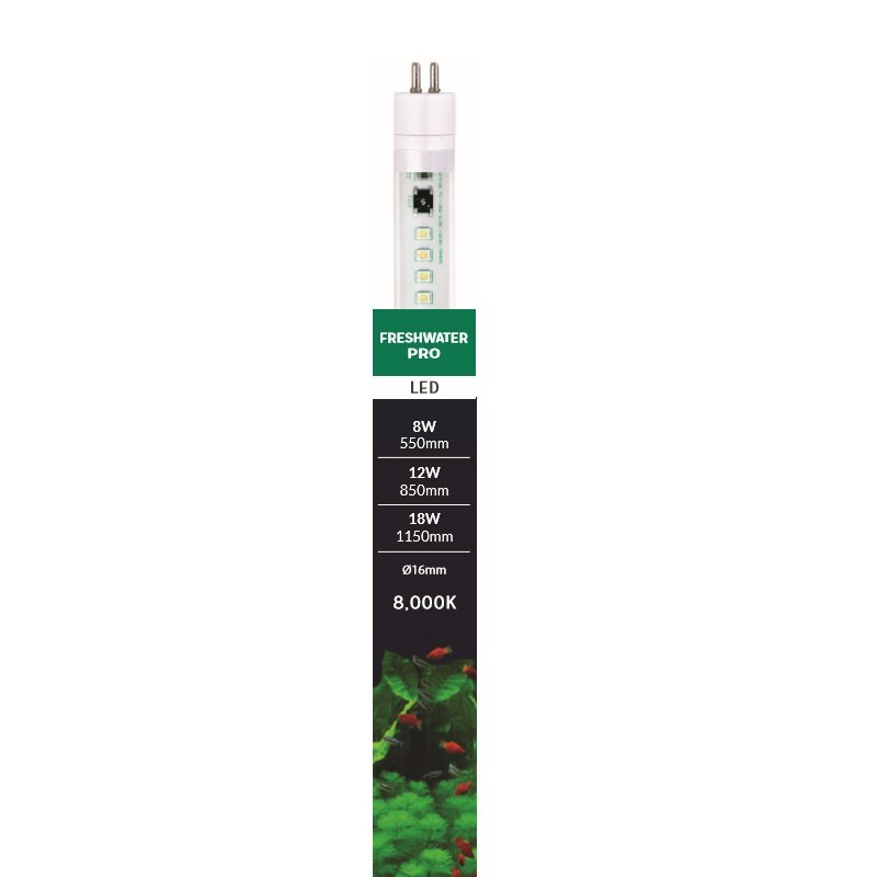 Tube T5 LED Freshwater Pro 59cm pour transformer l'ambiance de votre salon avec un aquarium d'eau douce