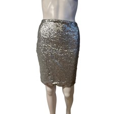 Lulus Women  s XL Silver Sequin Skirt   Mini, Fully Lined
