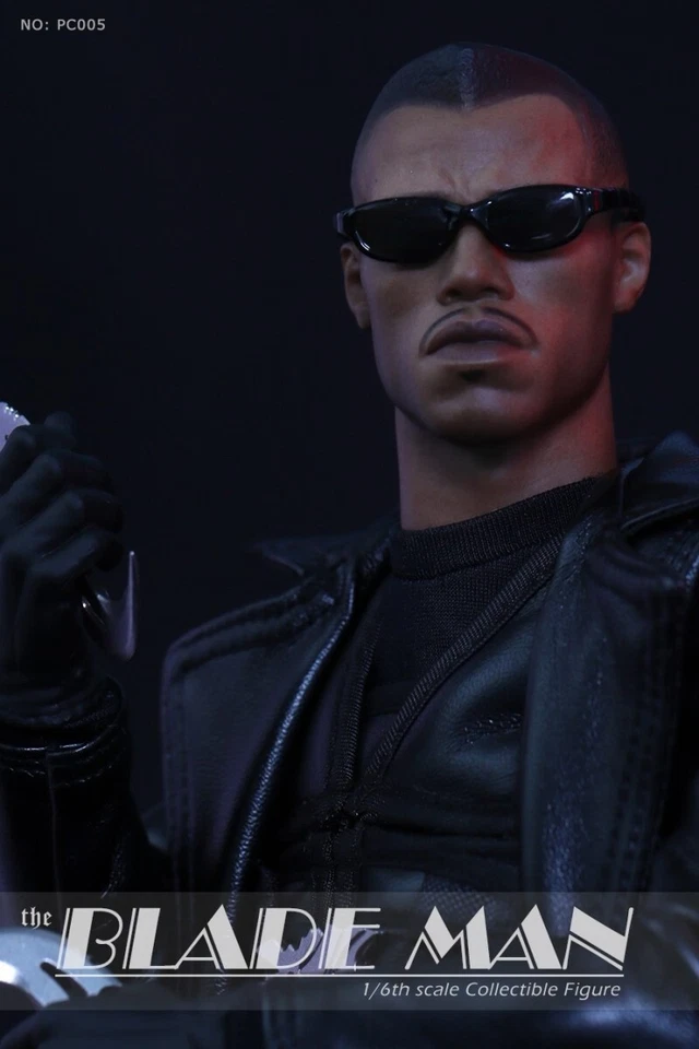 PC005 1/6 Blade Man Warrior Daywalker 12" Figura de Acción Coleccionable Modelo Juguete Foto 4 de 4