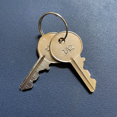 (2) All Steel / Chicago Replacement Keys Cut Key Code 1A1 - 9A1 -W/ TRACKING