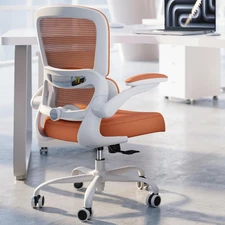 Office Chair - Ergonomic Desk Chair with Adjustable Lumbar Support, Mesh Compute