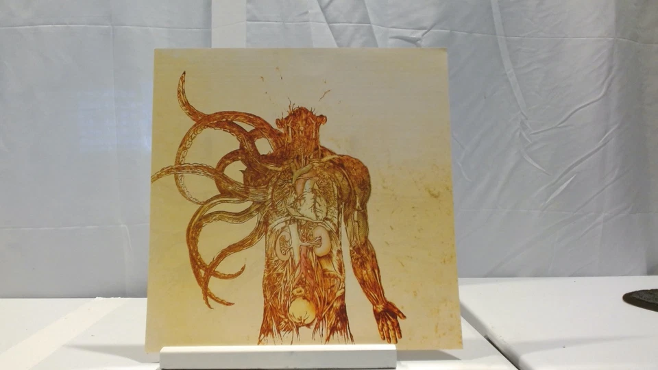 Between the Buried and Me the Anatomy of 2013 RSD Limited on Orange Vinyl NM/NM - Image 3 of 4