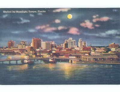 Linen MOONLIGHT ON SKYLINE Tampa Florida FL F9528